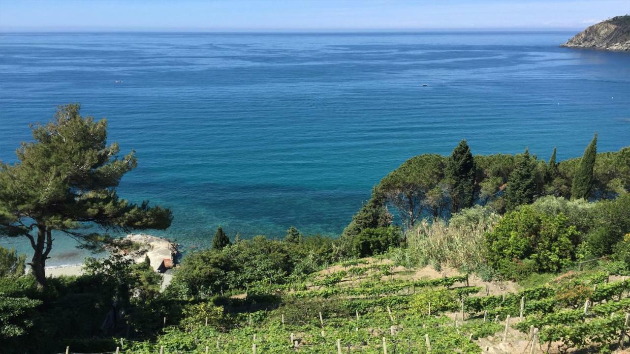 Appartamento A Moneglia, Tra Portofino E Le Cinque Terre Buitenkant foto