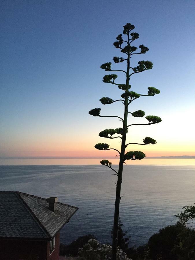 Appartamento A Moneglia, Tra Portofino E Le Cinque Terre Buitenkant foto